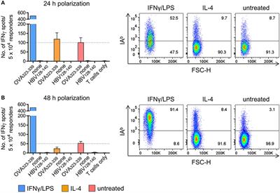 Cognate Interaction With CD4+ T Cells Instructs Tumor-Associated Macrophages to Acquire M1-Like Phenotype